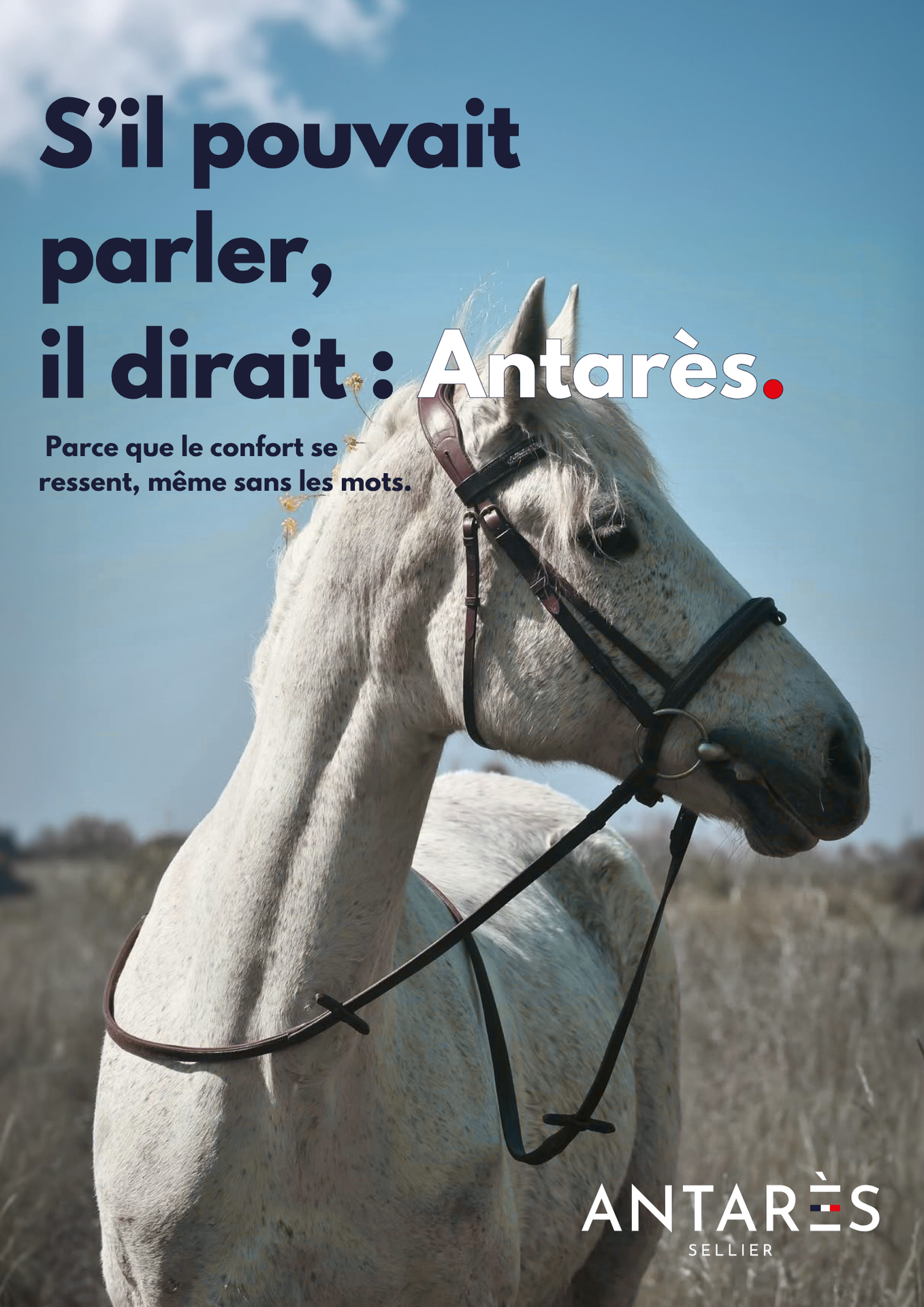 Antares Affiche 1