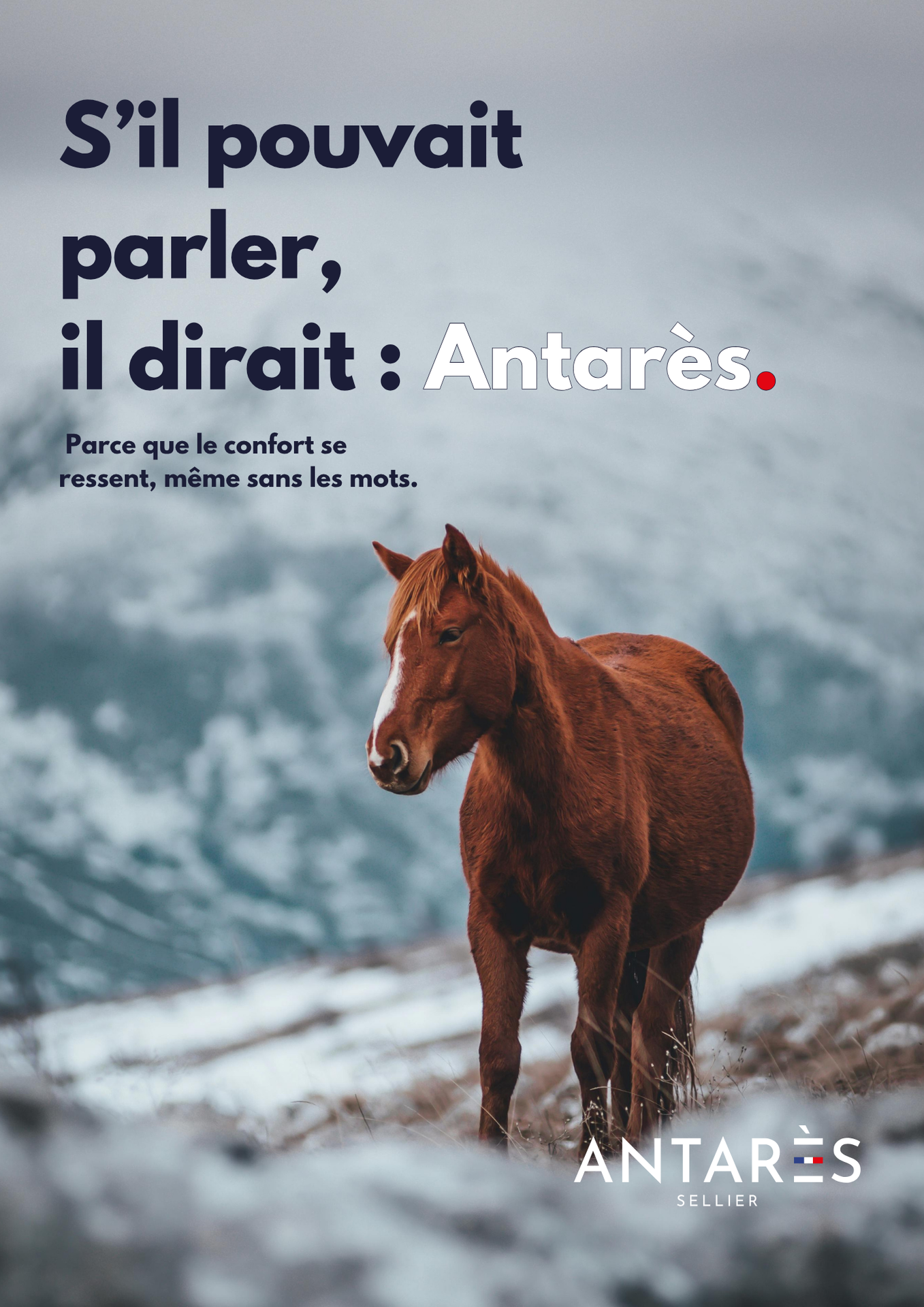 Antares Affiche 2