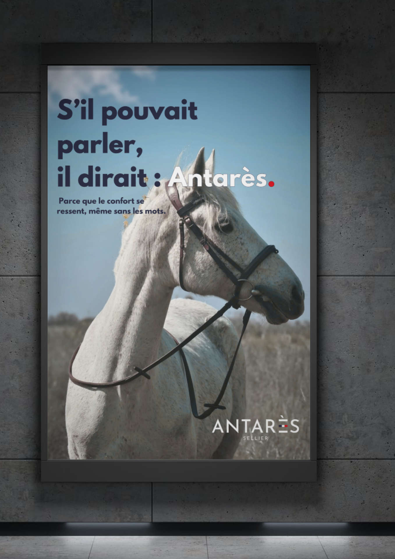 Antares Mockup 2